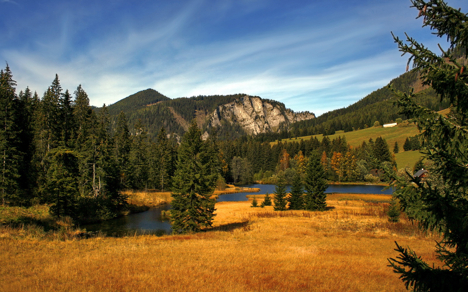 Faker参与电竞体育规则国际标准制定，faker玩的电竞经营游戏