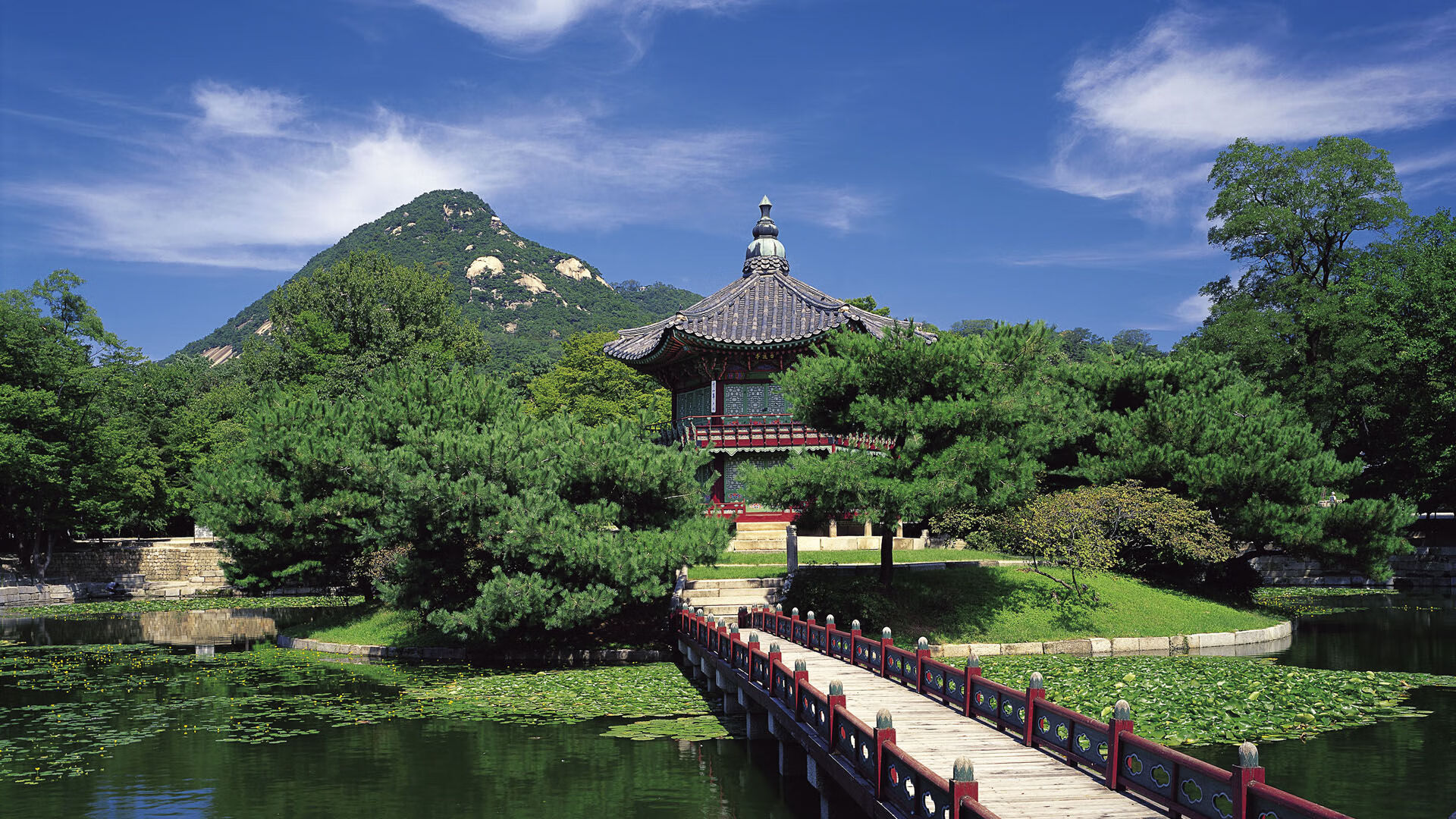 东京新星引领日本奥运足球攻势,东京足球奥运预选赛