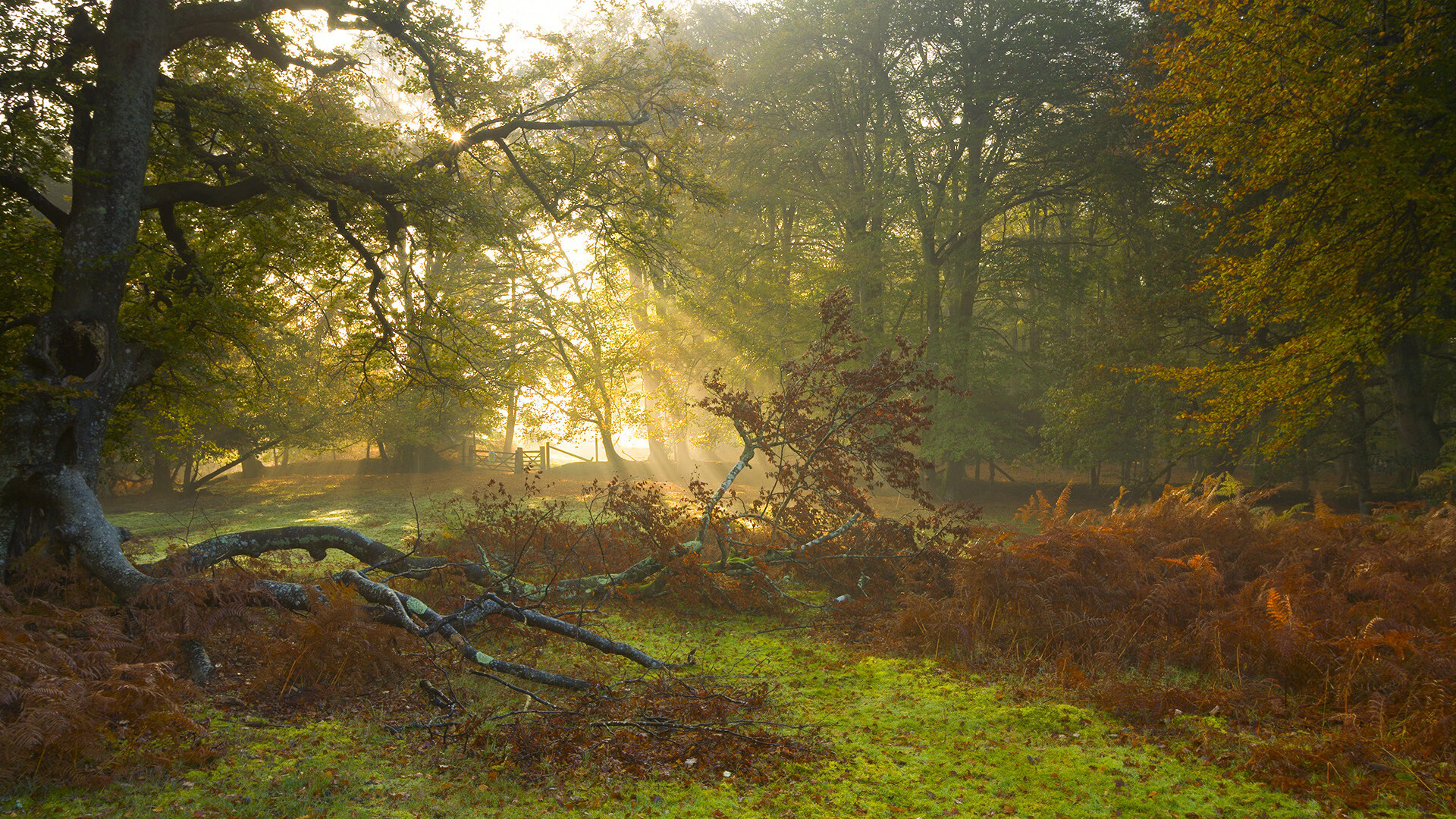 热血比赛中球员们豪情万丈，战至最后，热血篮球球员