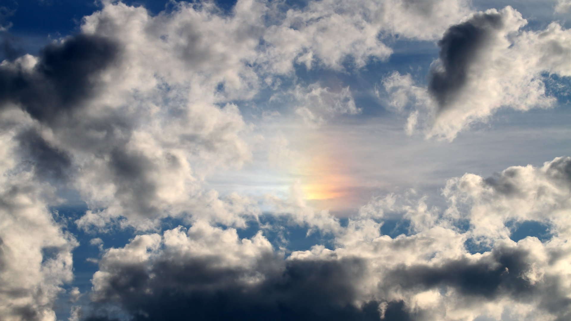 辽宁本钢球队比赛压力应对出色，辽宁本钢队的赛事