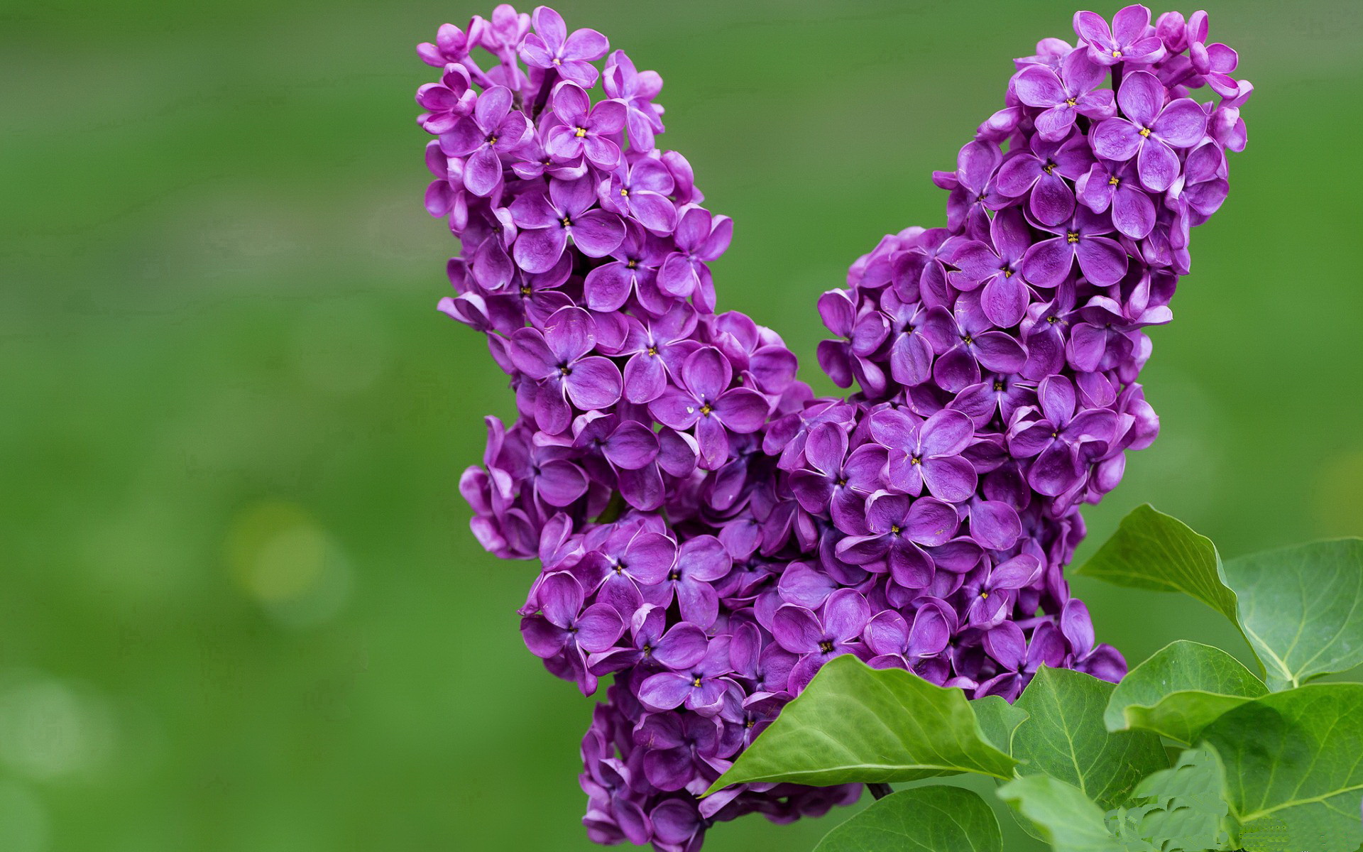 米兰体育app网址-中国足球场上站位变化趋势，足球队站位