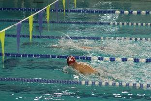 米兰体育官方网址入口-国际游泳精英赛中国队多人破纪录，国际游泳冠军系列赛