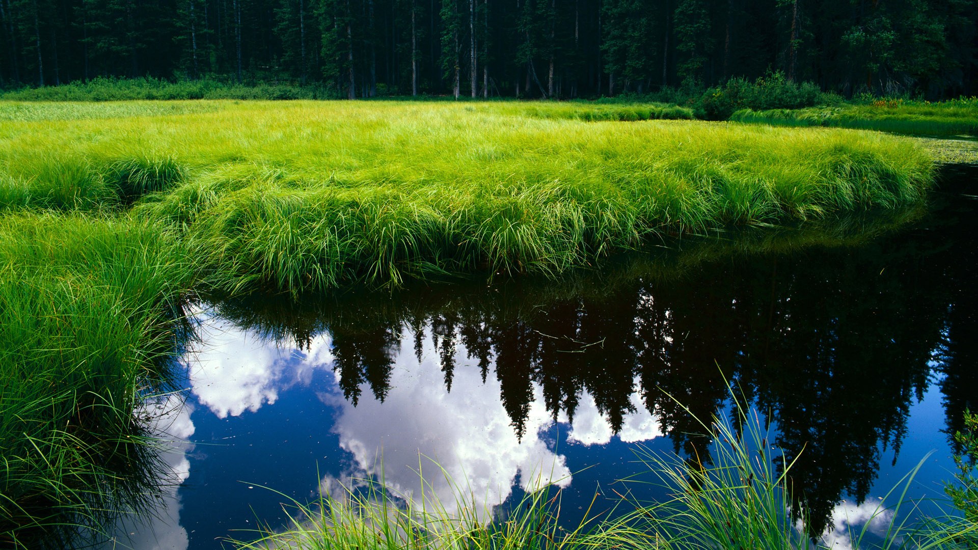 AC Milan Sports-运动训练科学方法研究，运动训练科学方法研究内容
