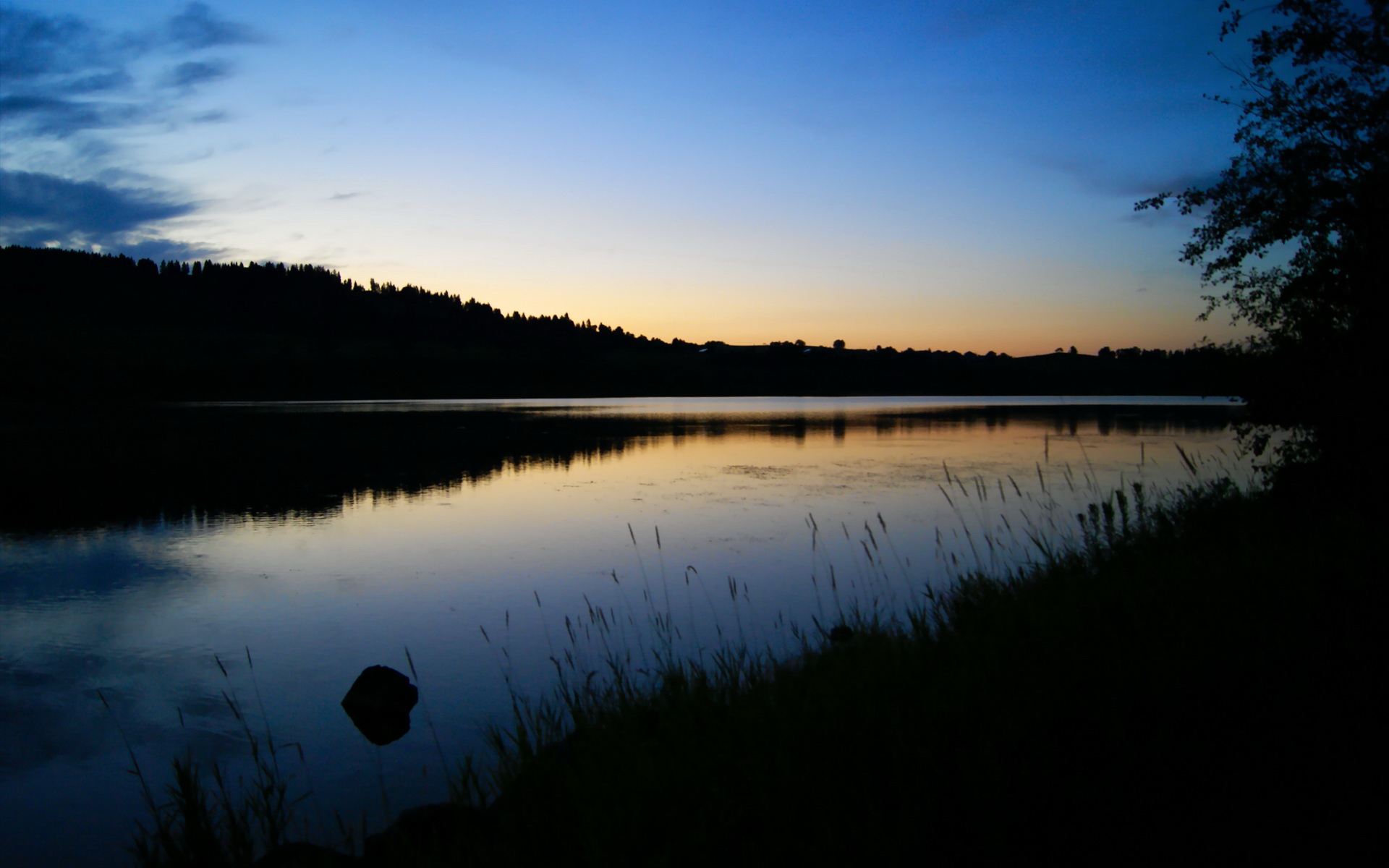 德国队锋线冲击力十足,教练战术获好评,德国队锋线三人组