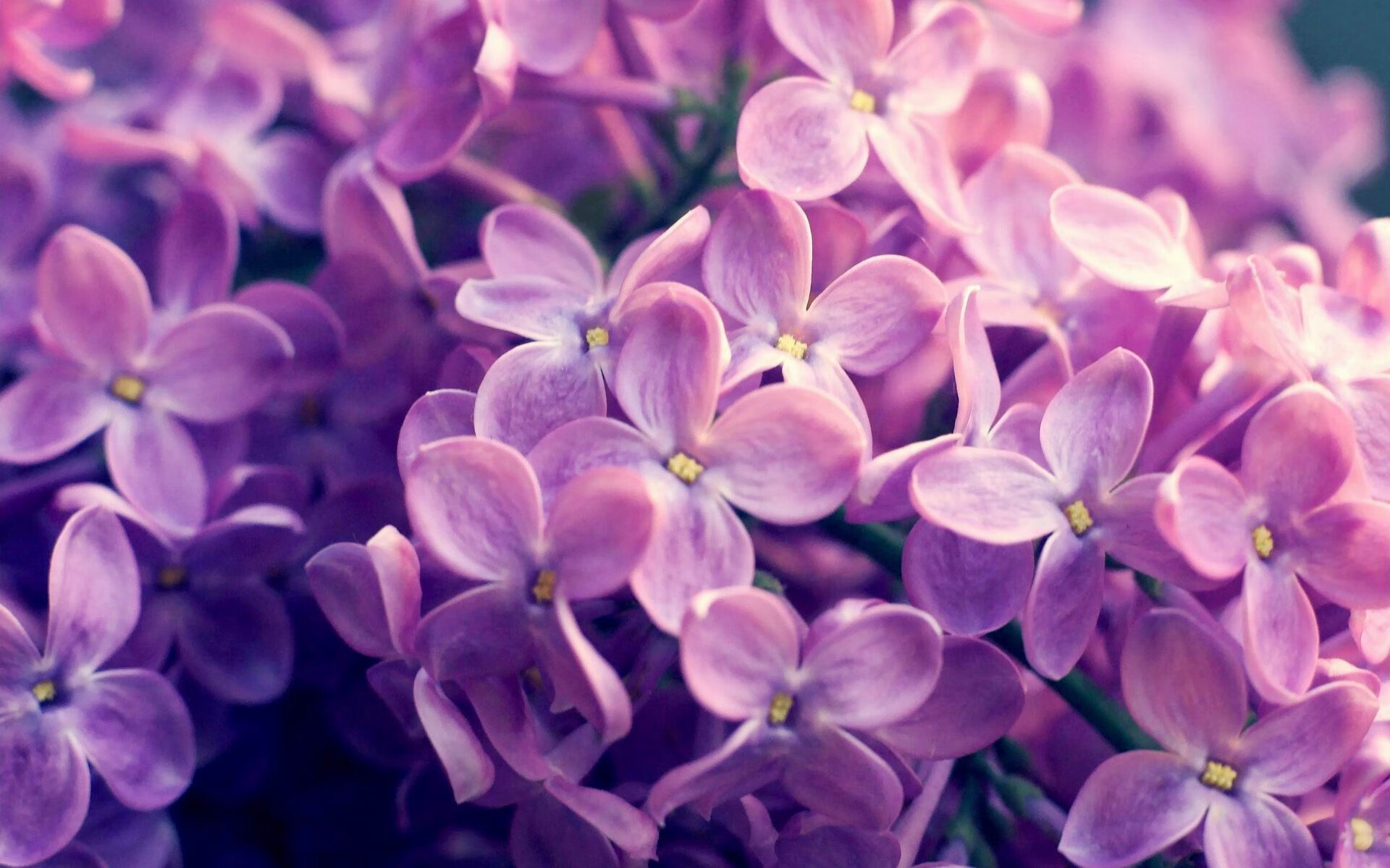 米兰体育app平台-恩多比·恩乔的战术能力，让南非队在全球橄榄球赛场脱颖而出，恩多简历