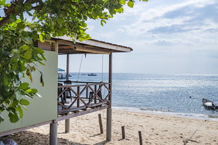 AC米兰体育-绿色场馆覆盖智能环保系统，推动全球体育绿色低碳行动，绿色场馆建设